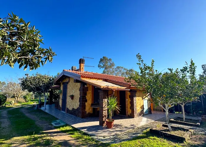 L'Uliveto Holiday House